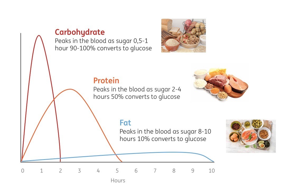 Macronutrients and blood sugar control